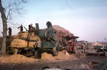 Haver dorsen bij museum Oldambt - Hoogheem Erfgoed & Logies Nieuwolda