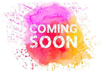 Modiver Beveiliging B.V. - 