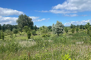 Fotos Wohnmobilpark Landgoed Winschoterzijl Camperpark Landgoed Winschoterzijl Oldambt